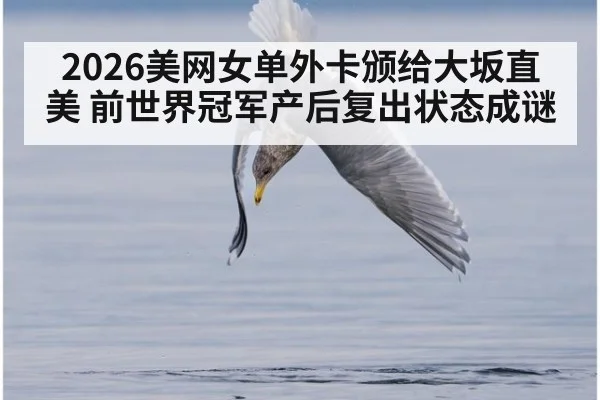 2026美网女单外卡颁给大坂直美 前世界冠军产后复出状态成谜