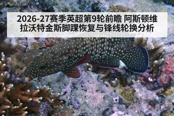 2026-27赛季英超第9轮前瞻 阿斯顿维拉沃特金斯脚踝恢复与锋线轮换分析